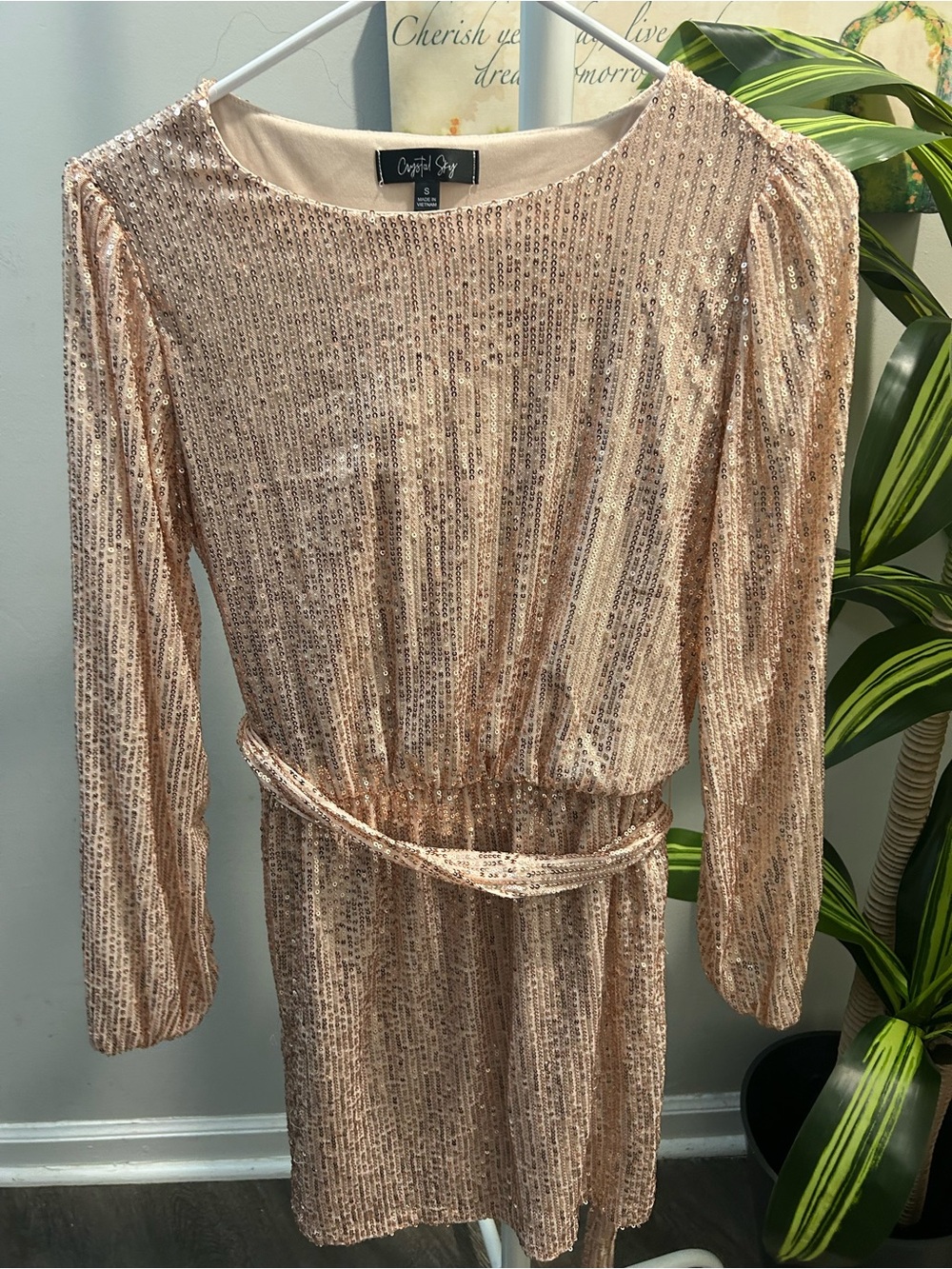 Sequin Long Sleeve Rose Gold Dress with Waist Tie